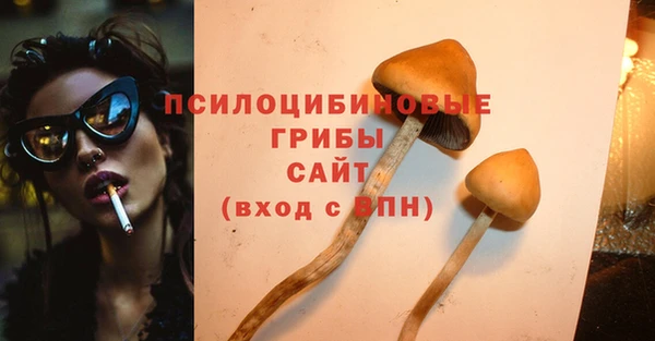 прущие грибы Абинск