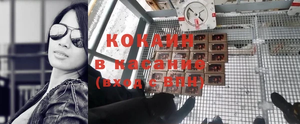 прущие грибы Абинск