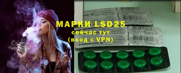 прущие грибы Абинск